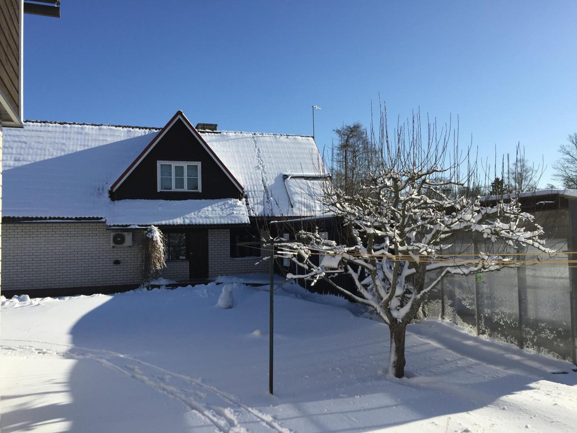 Tiigi Accommodation Kärdla Exteriör bild